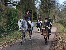 Image result for Bookham Riding School