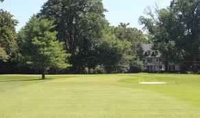 Image result for Runnymede Rascals Cricket Club