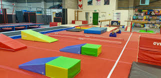 Image result for Bulmershe Gymnastics Club