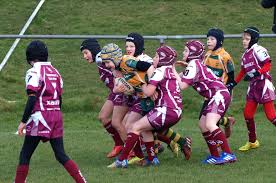 Image result for Thornhill Rugby League Football Club
