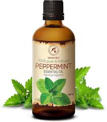 Image result for Mentha piperita