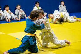 Image result for Jsc Judo Club