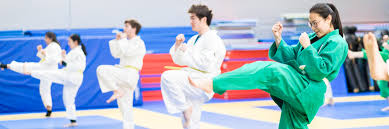 Image result for COURT FIELDS karate Academy