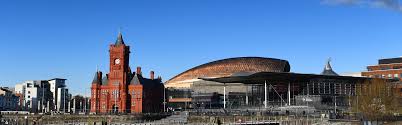 Image result for Cardiff Capitals