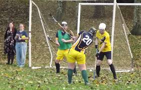 Image result for Cornwall Shinty Club