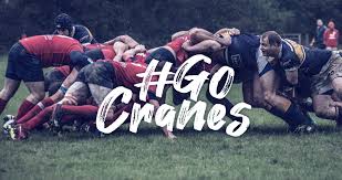 Image result for Cranleigh Rugby Football Club