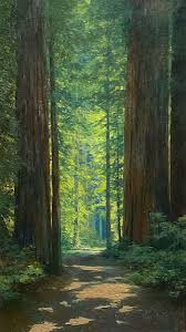 Image result for bohemian grove