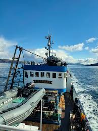 Image result for Hartlepool Divers Bsac Branch 0985