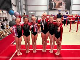 Image result for Epping Forest Elite Gymnastics Club