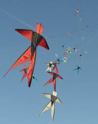 Image result for White Horse Kite Fliers Club