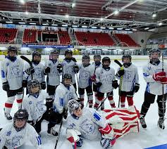 Image result for Swindon Panthers