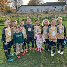 Image result for South Lincoln Jfc