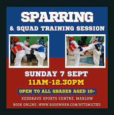 Image result for Bytomic Tae Kwon Do Beaconsfield