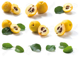 Attēlu rezultāti vaicājumam “Cydonia oblonga fruit”