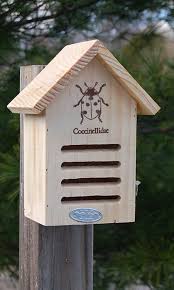 Image result for ladybug house