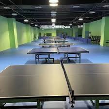 Image result for Ellenborough Table Tennis Club