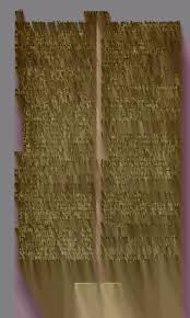 Attēlu rezultāti vaicājumam “Platyptilia gonodactyla imago”