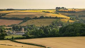Image result for North Dorset