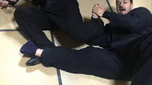 Image result for Bujinkan Crawley Dojo