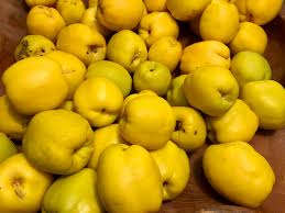 Attēlu rezultāti vaicājumam “Cydonia oblonga fruit”