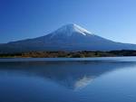 岡まゆみの画像8