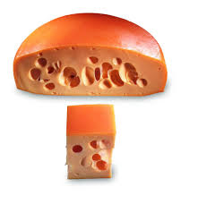 Image result for maasdammer