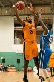 Image result for Essex Leopards