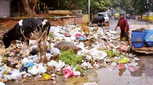 Image result for Bangalore Garbage