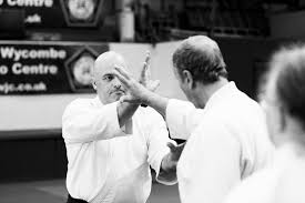 Image result for Aikido - Shobu UK