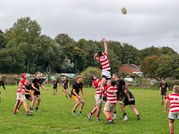 Image result for Bideford Rugby Football Club