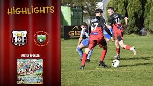 Image result for Caerbryn Association Football Club