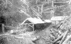 Image result for St Helens Miners