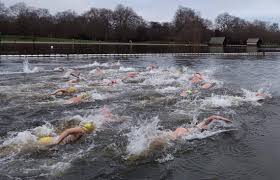 Image result for Serpentine Swimming Club