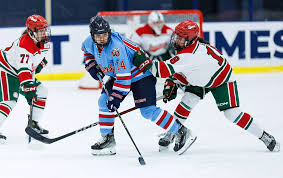 Image result for Frome Ladies Hockey Club