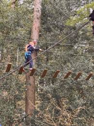 Image result for Go Ape! Dalby