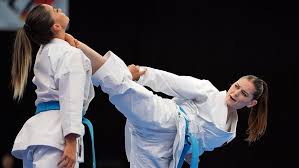 Image result for Action Karate