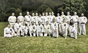 Image result for Silat Perisai Diri Classes Club