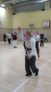 Image result for Northern Freestyle Karate Association