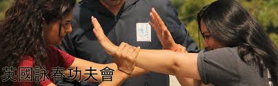 Image result for Midlands Wing Chun