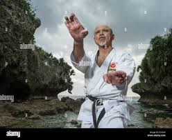 Image result for Uechi-Ryu Karate Do, Hedge End