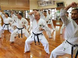Image result for Zen Shin Seicho Do Adult Karate