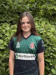 Image result for Chard Cricket Club