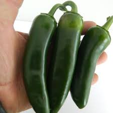 Afbeeldingsresultaat voor biker billy jalapeno hot pepper