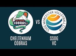 Image result for Cheltenham Cobras Volleyball Club