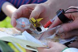 Image result for Dartford Orienteers (DFOK)