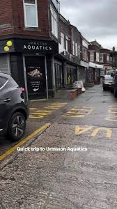 Image result for Urmston Cc