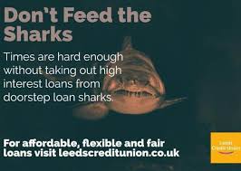 Image result for Leeds Sharks