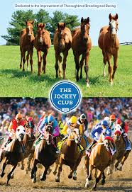 Image result for The Horse Racing Club