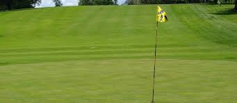 Image result for Braehead Golf Club