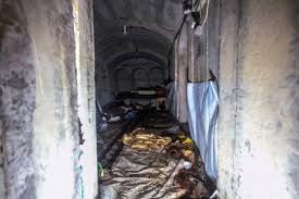 Image result for Gaza tunnel